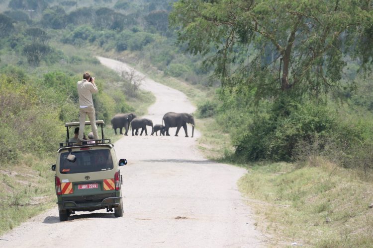 429 Elefantenparade-2