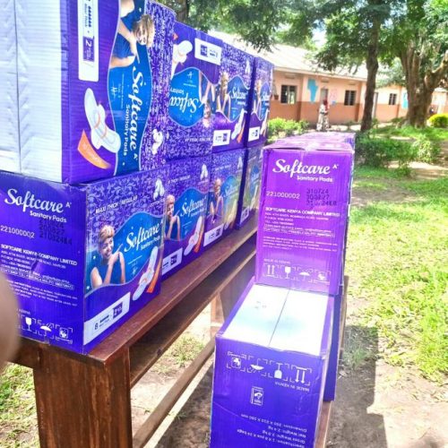 Hygieneprodukte vor der Verteilung